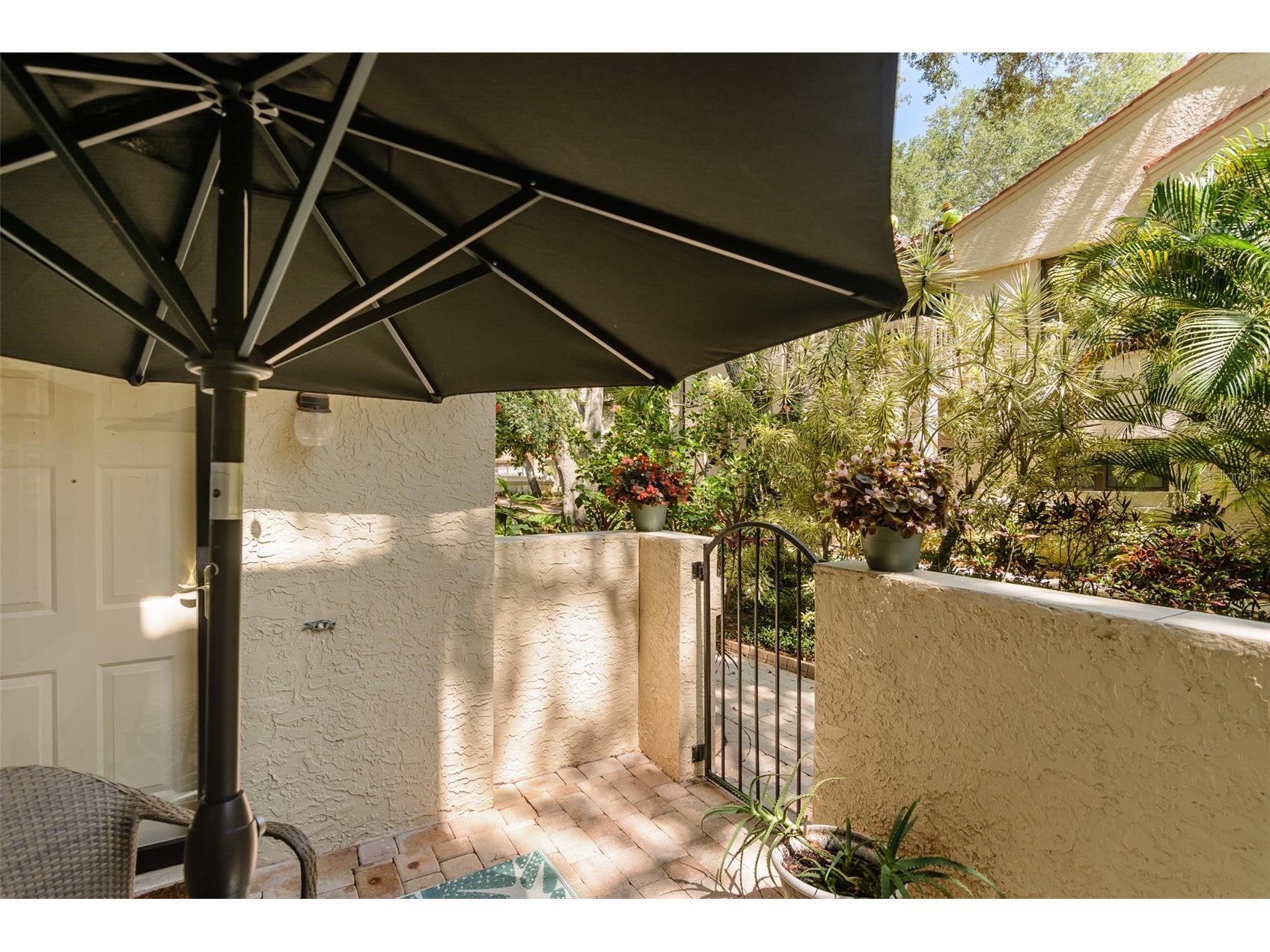 209 Los Prados Drive #1313 Safety Harbor FL 34695 TB8517099 image4