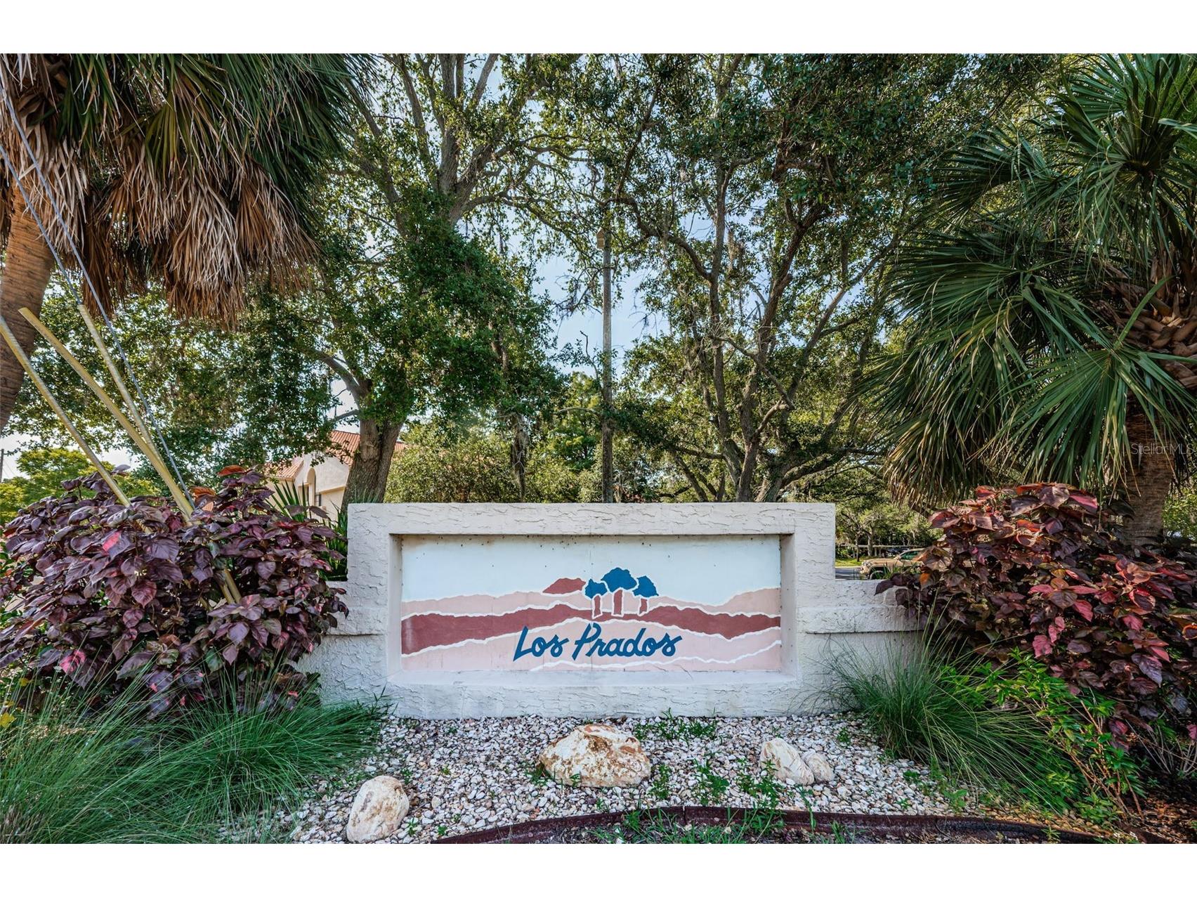 209 Los Prados Drive #1313 Safety Harbor FL 34695 TB8517099 image40