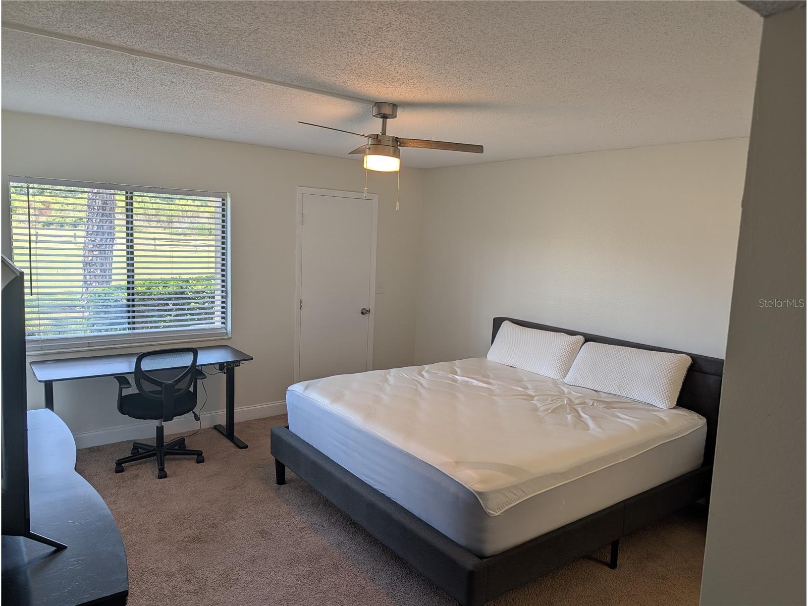 209 Mary Drive #7 Oldsmar FL 34677 O6421358 image2