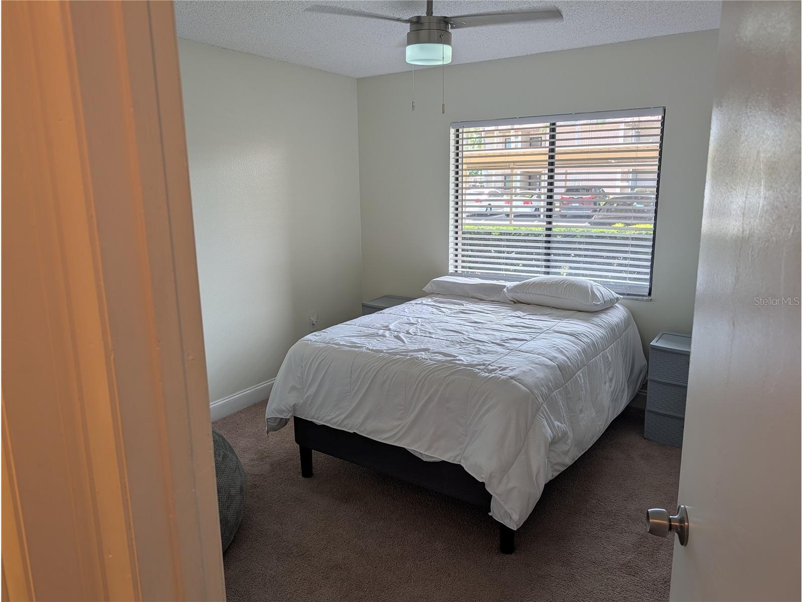 209 Mary Drive #7 Oldsmar FL 34677 O6421358 image27