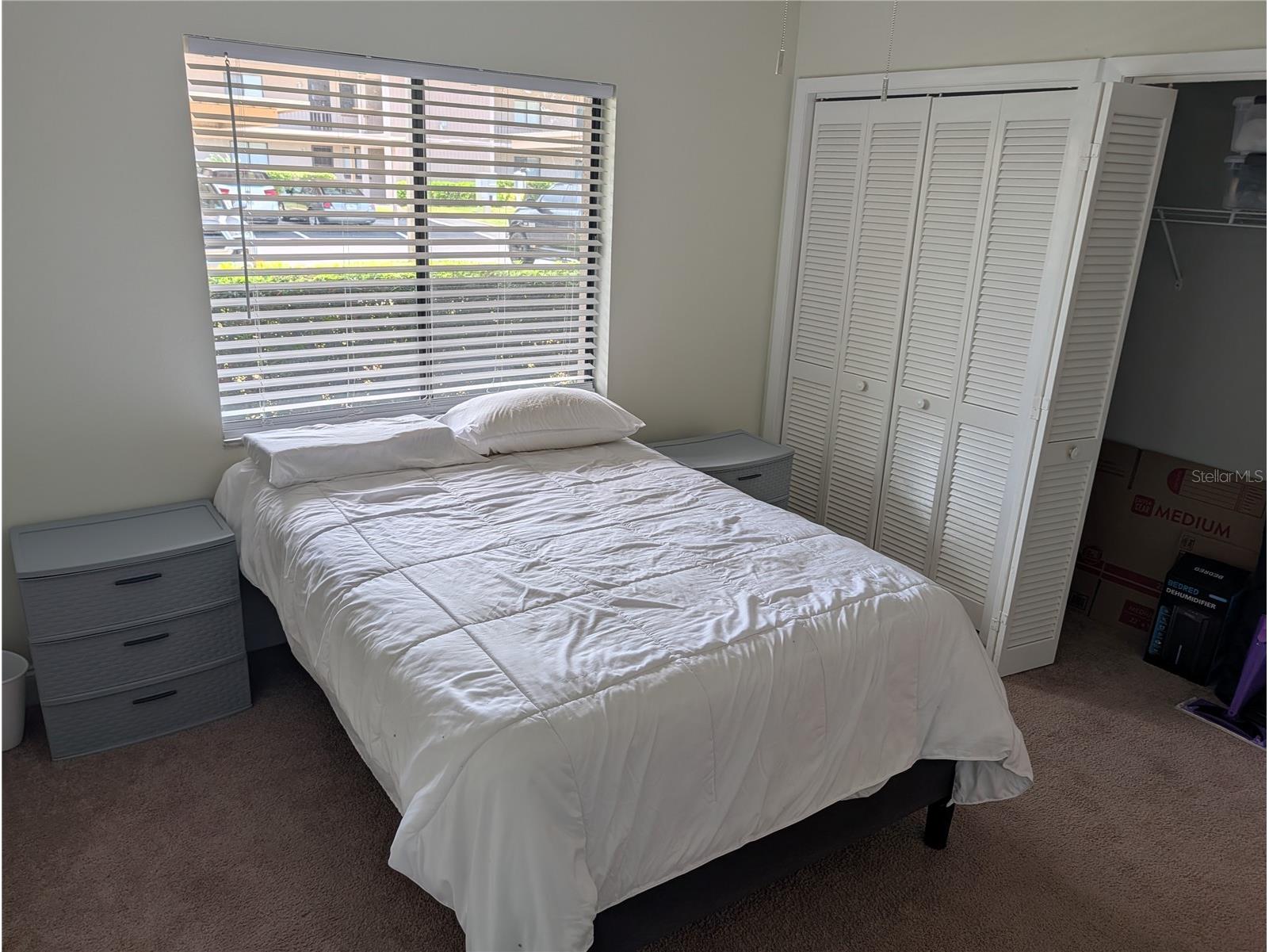 209 Mary Drive #7 Oldsmar FL 34677 O6421358 image28