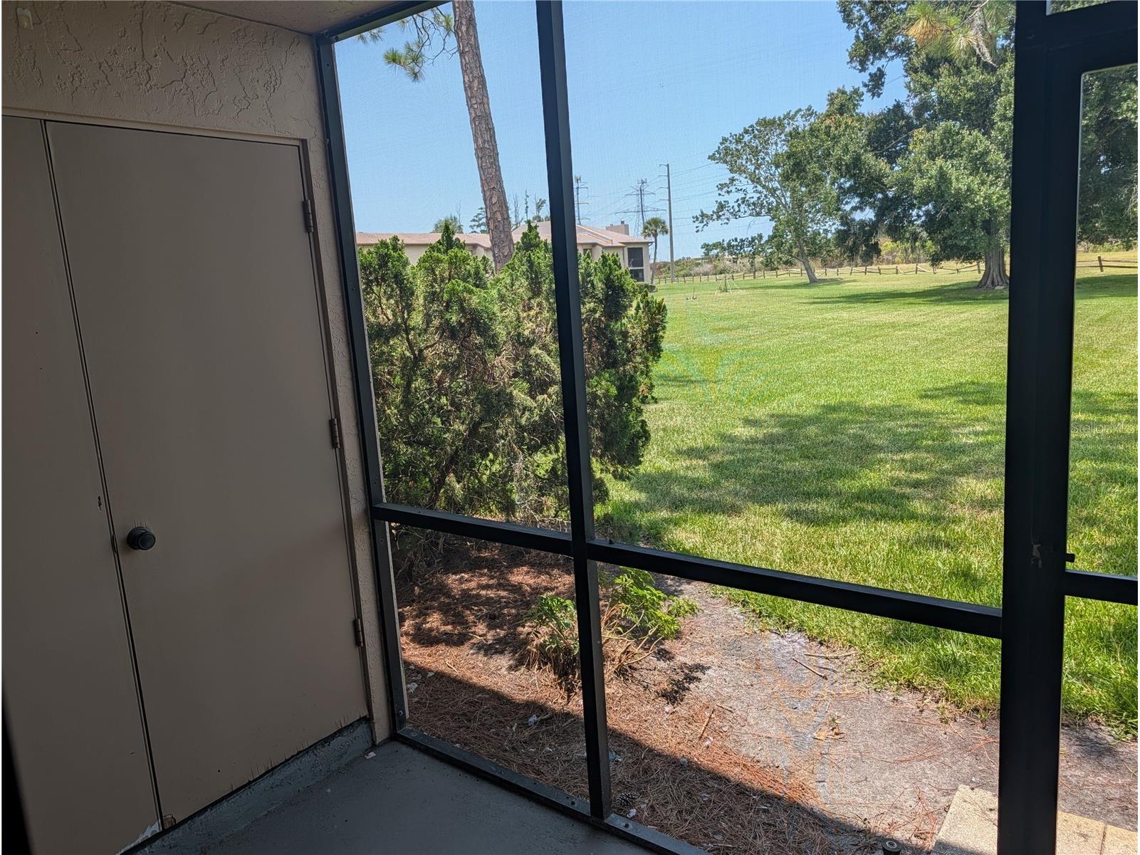 209 Mary Drive #7 Oldsmar FL 34677 O6421358 image30