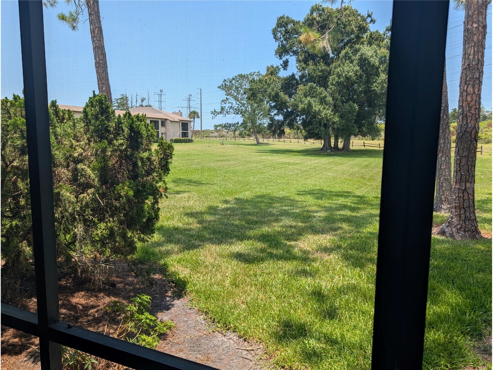 209 Mary Drive #7 Oldsmar FL 34677 O6421358 image31