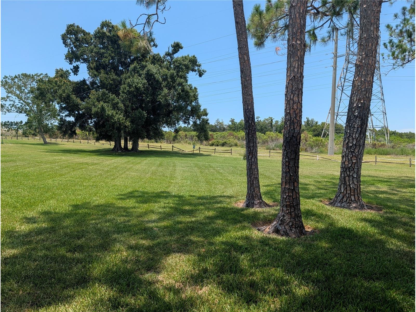 209 Mary Drive #7 Oldsmar FL 34677 O6421358 image33