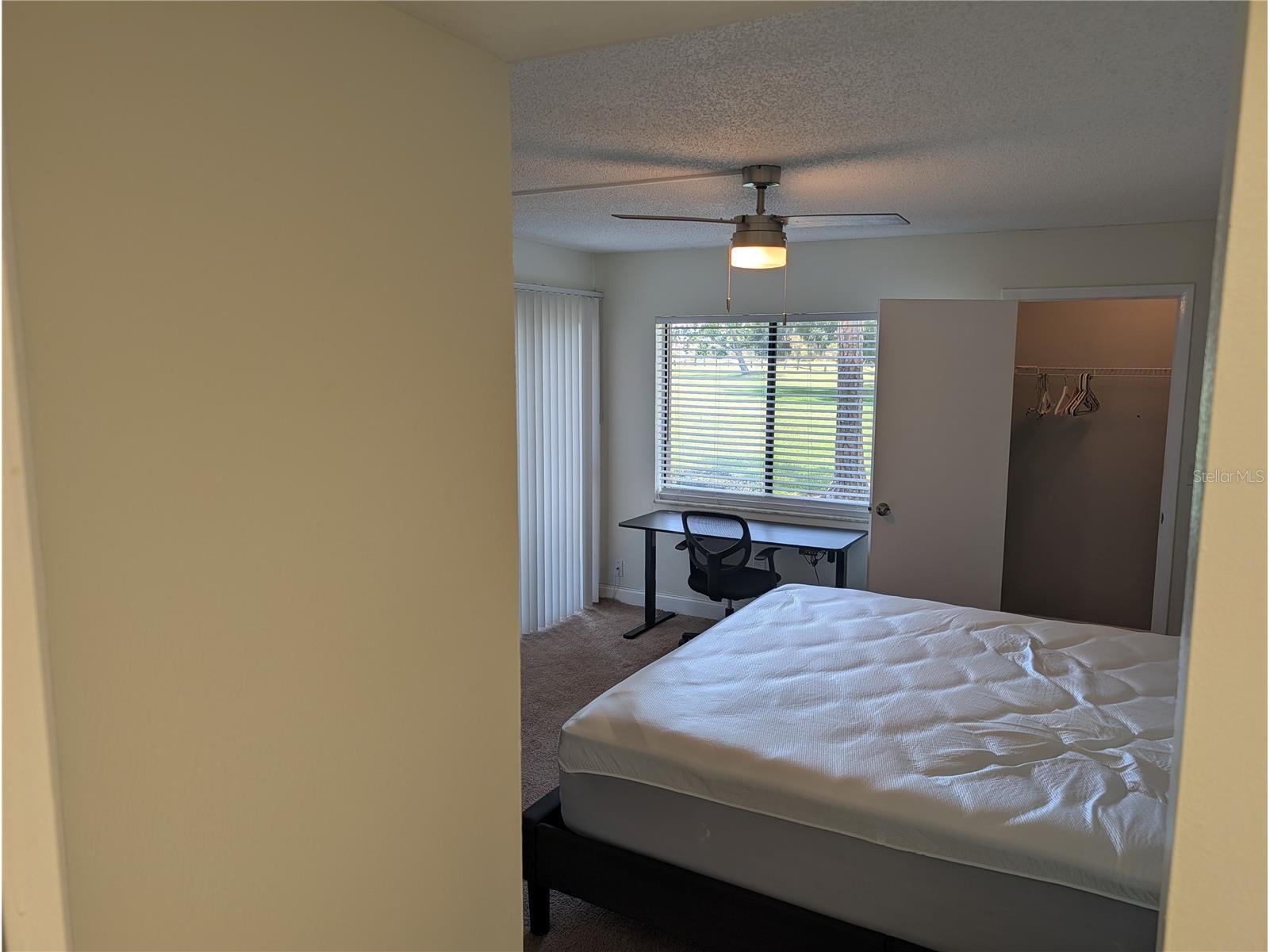 209 Mary Drive #7 Oldsmar FL 34677 O6421358 image4