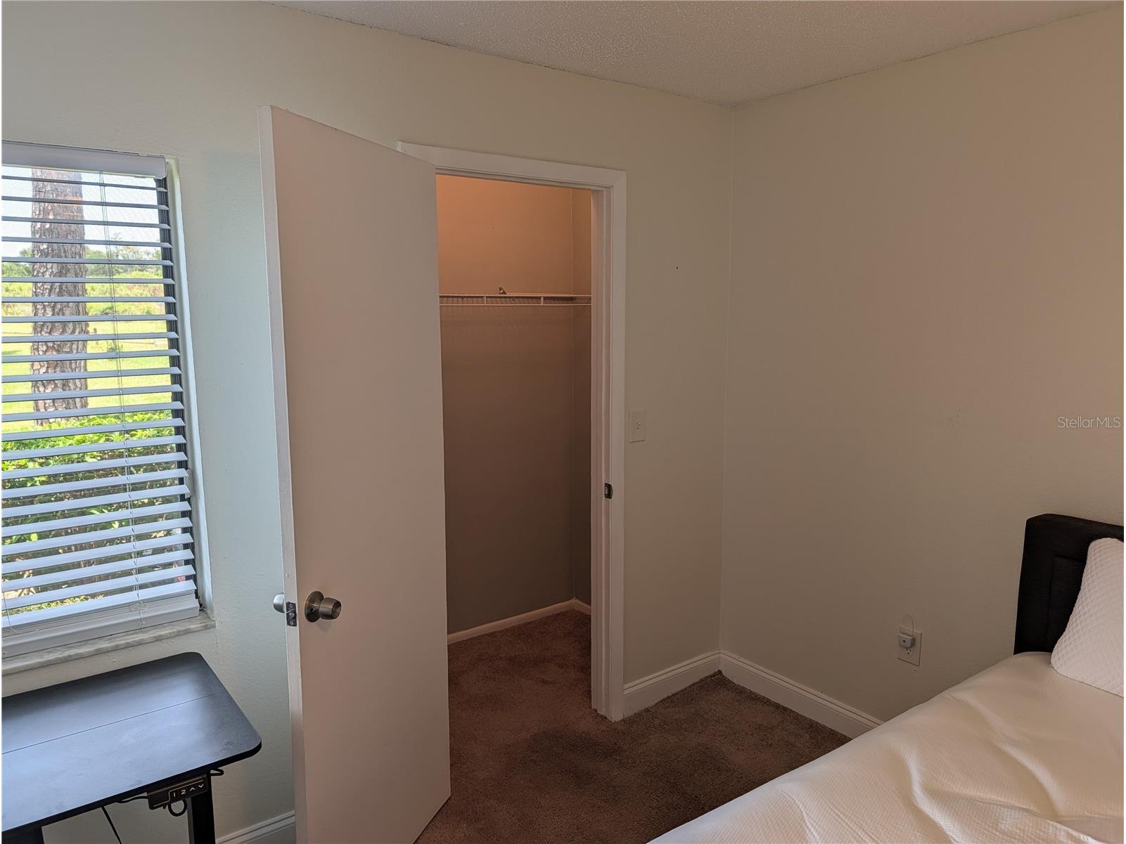 209 Mary Drive #7 Oldsmar FL 34677 O6421358 image5