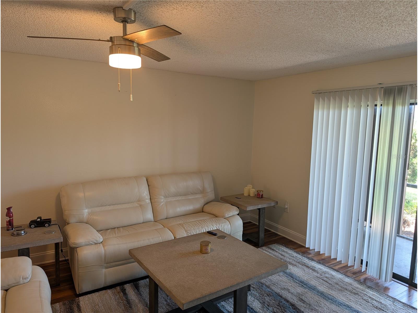 209 Mary Drive #7 Oldsmar FL 34677 O6421358 image7