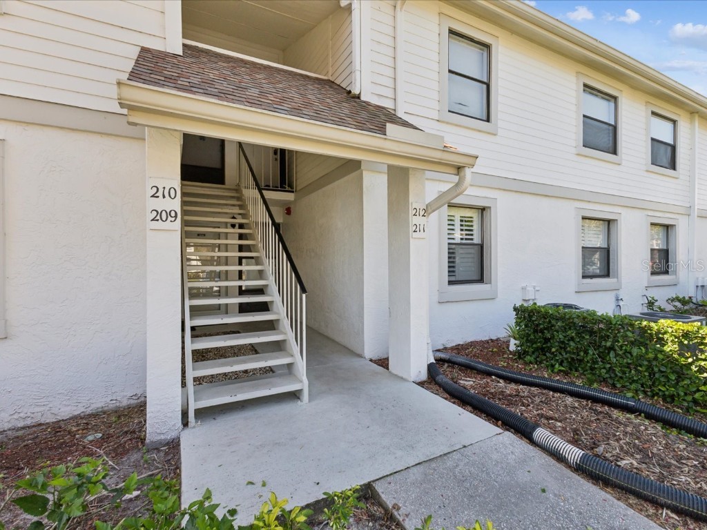 209 Meadow Lane #209 Oldsmar FL 34677 TB8365010 image1