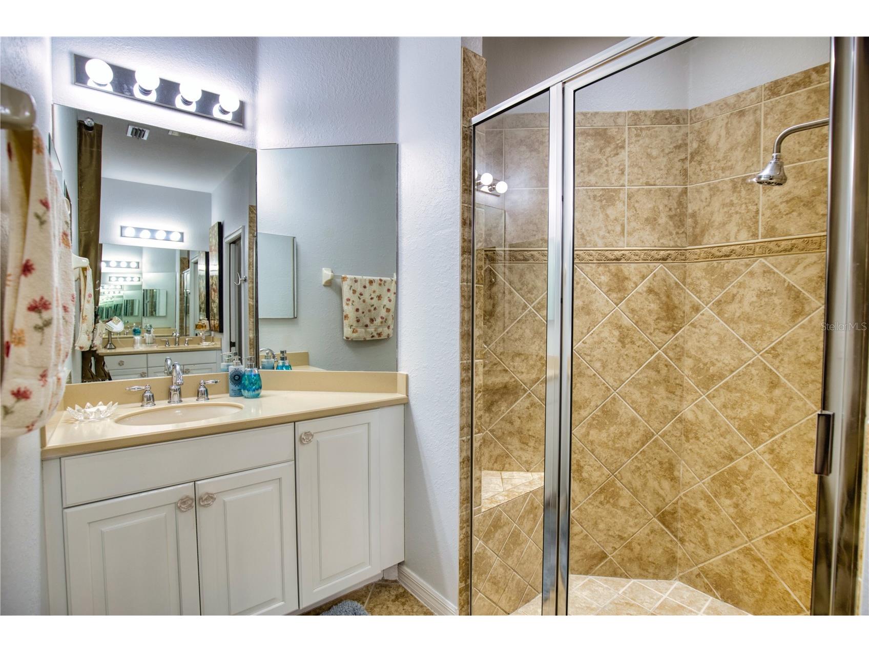 209 Mestre Place North Venice FL 34275 N6143386 image31