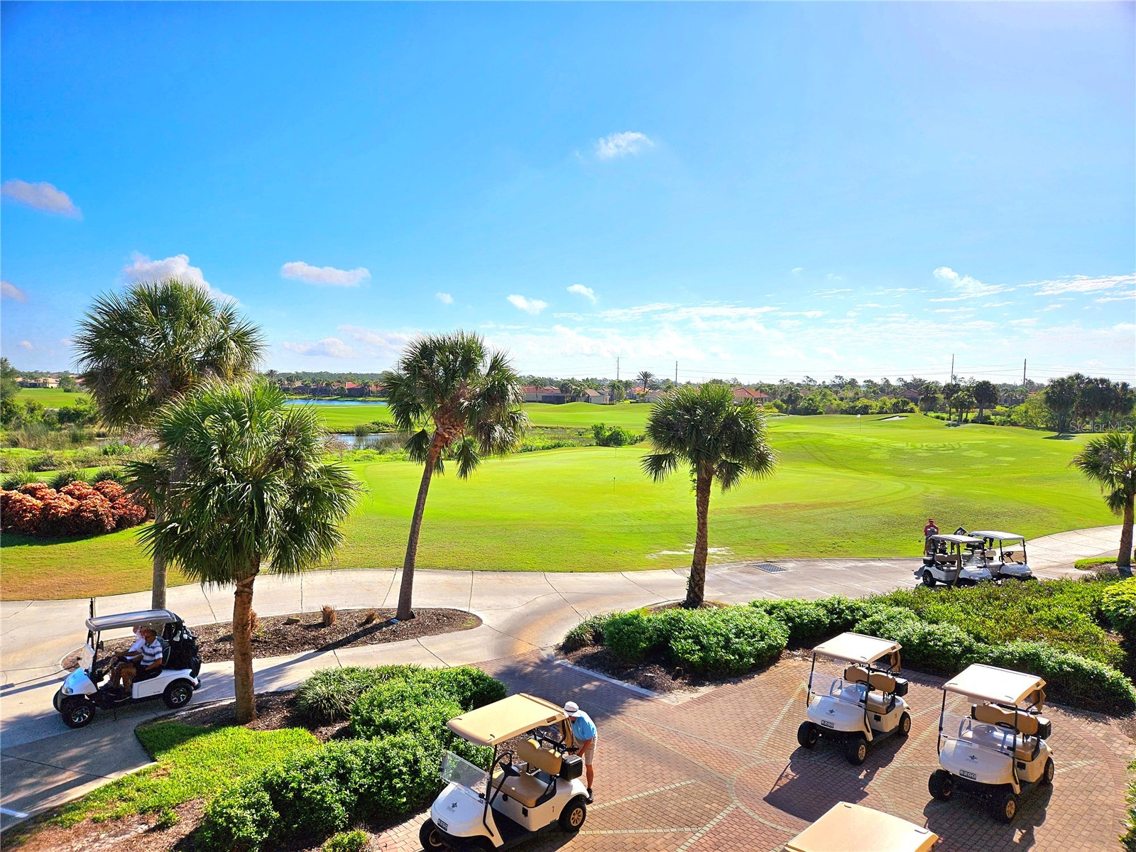 209 Mestre Place North Venice FL 34275 N6143386 image4