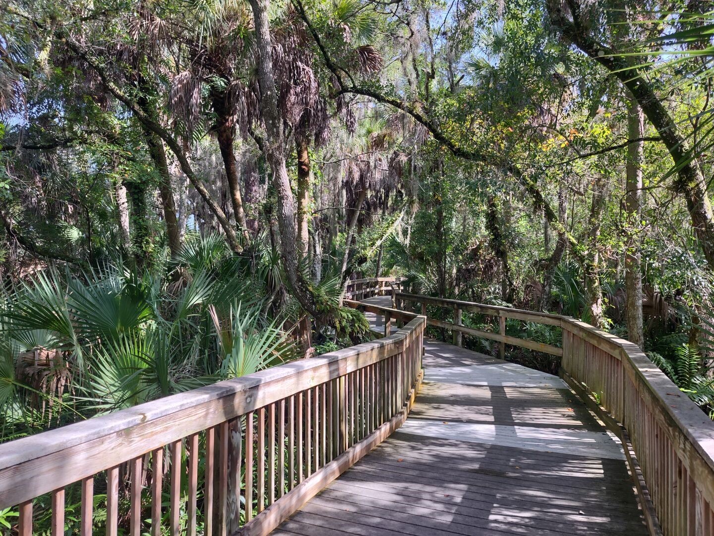 209 Mestre Place North Venice FL 34275 N6143386 image42