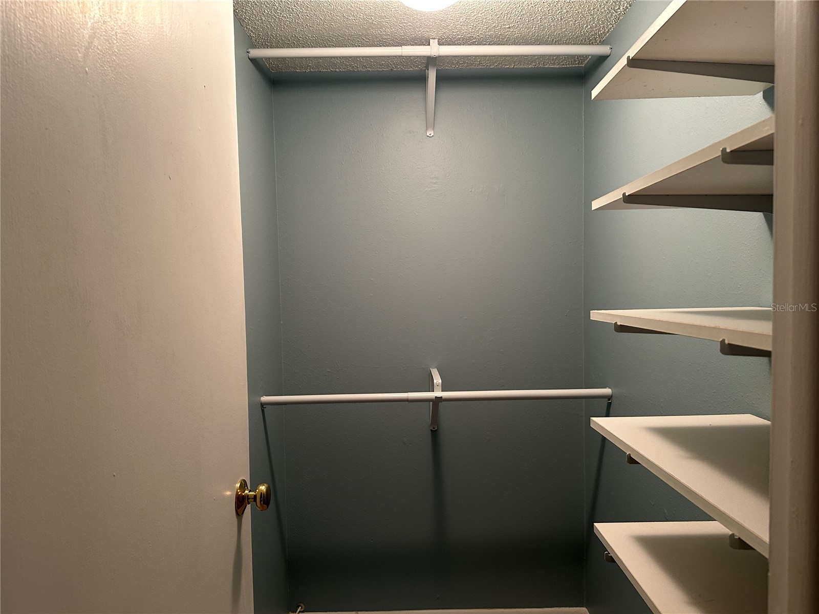 209 NE Lincoln Circle N #406 Saint Petersburg FL 33702 TB8487875 image10