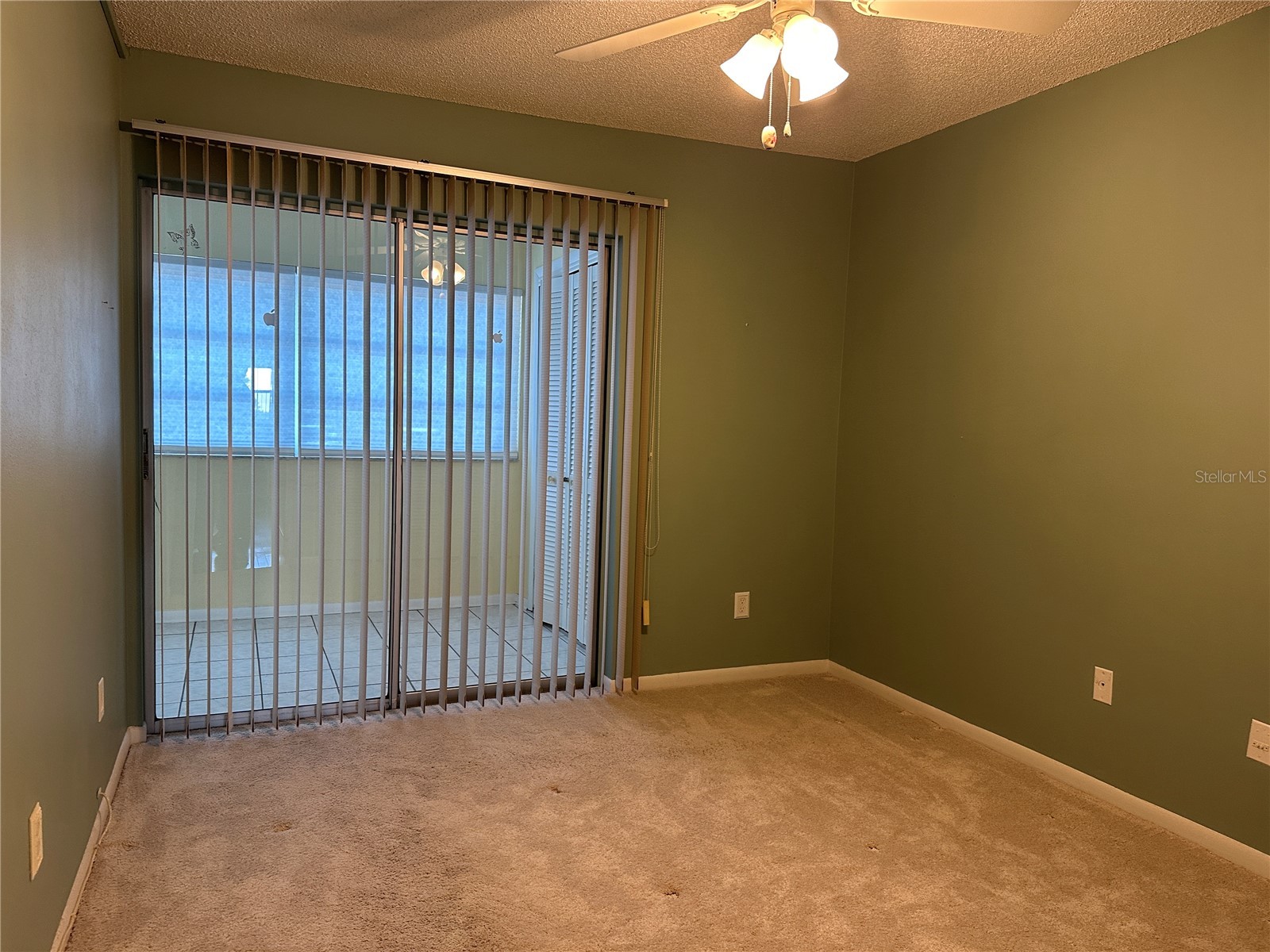 209 NE Lincoln Circle N #406 Saint Petersburg FL 33702 TB8487875 image13