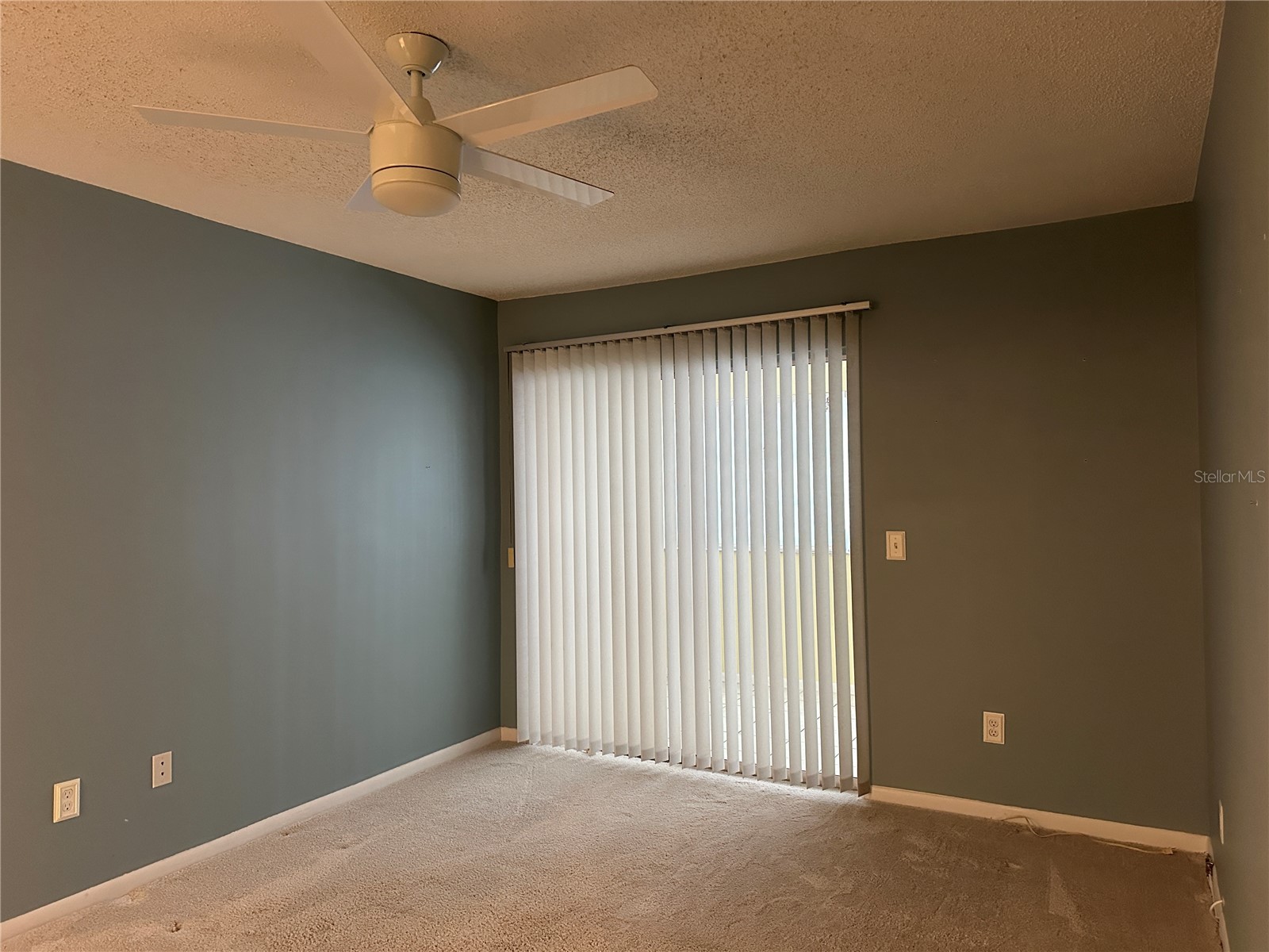 209 NE Lincoln Circle N #406 Saint Petersburg FL 33702 TB8487875 image9