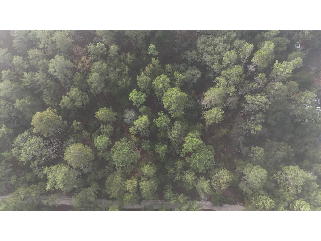 209 Pear Street Pomona Park FL 32181 NS1083359 image1