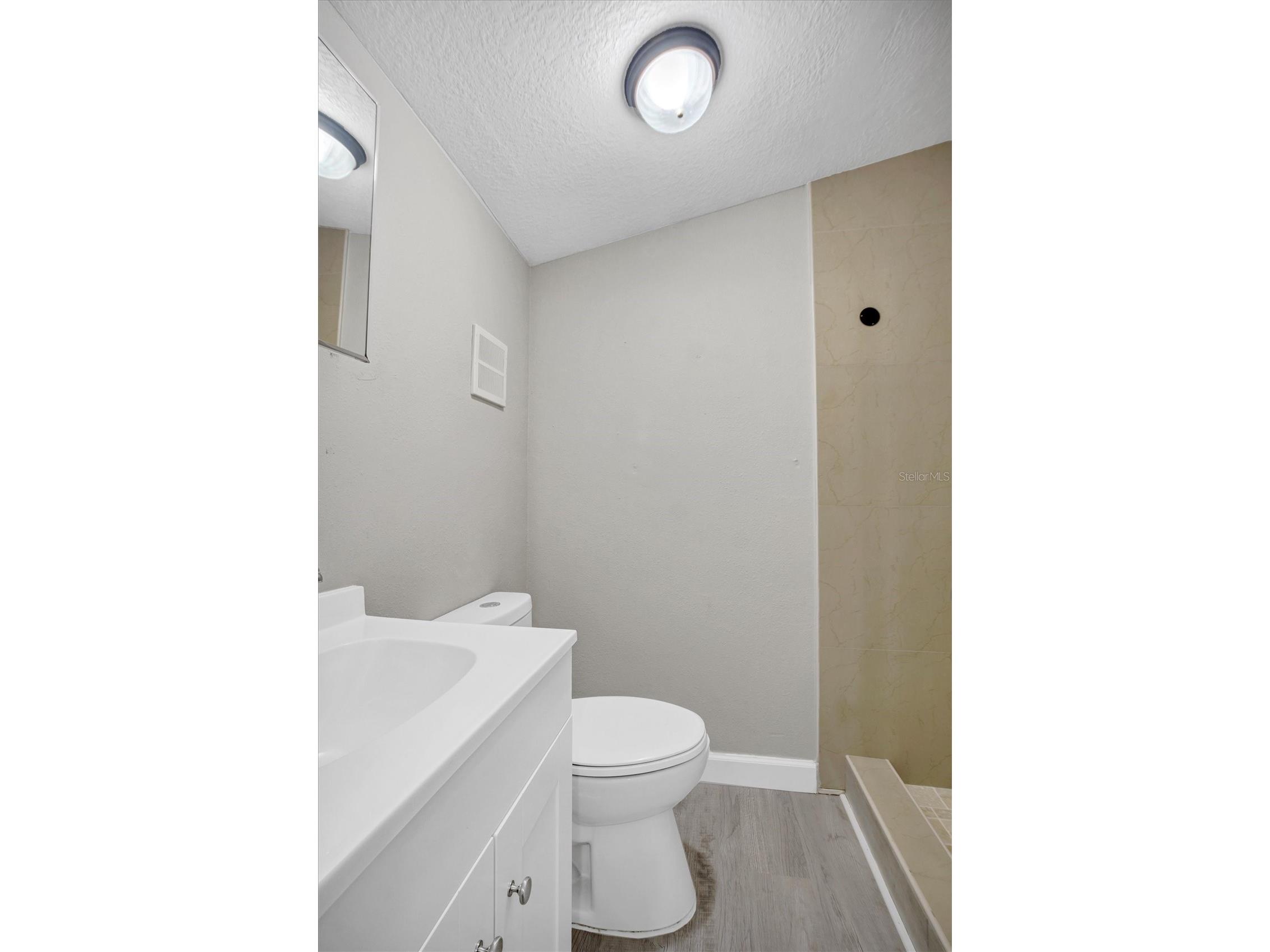 209 Piney Avenue Lake Wales FL 33898 S5149492 image11
