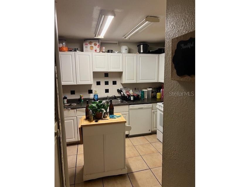 209 Ridgecrest Loop Minneola FL 34715 O6367698 image20