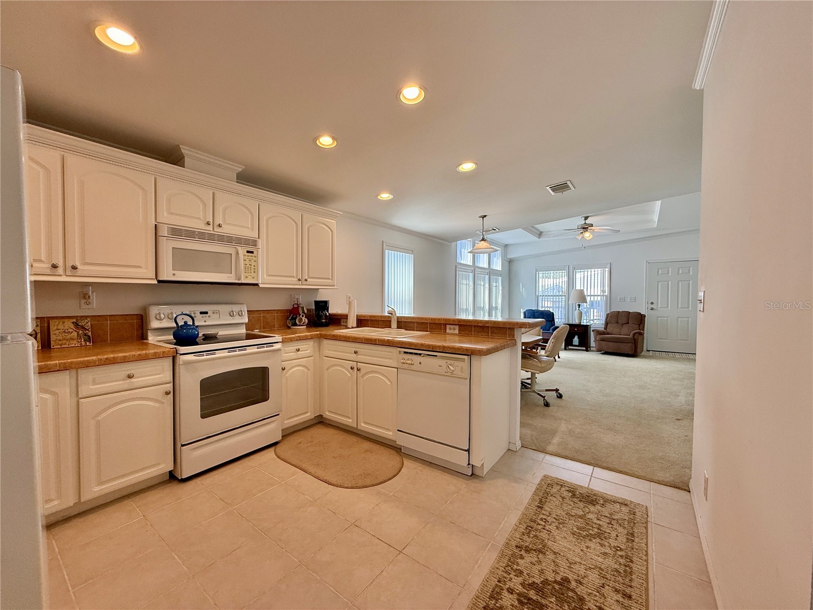 209 S Port Royal Lane Apollo Beach FL 33572 TB8485675 image10