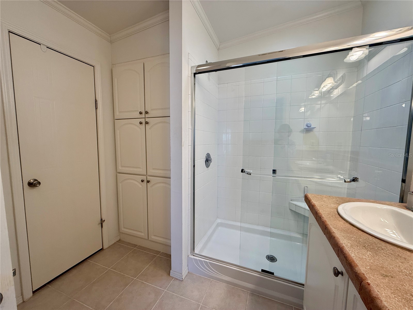 209 S Port Royal Lane Apollo Beach FL 33572 TB8485675 image13
