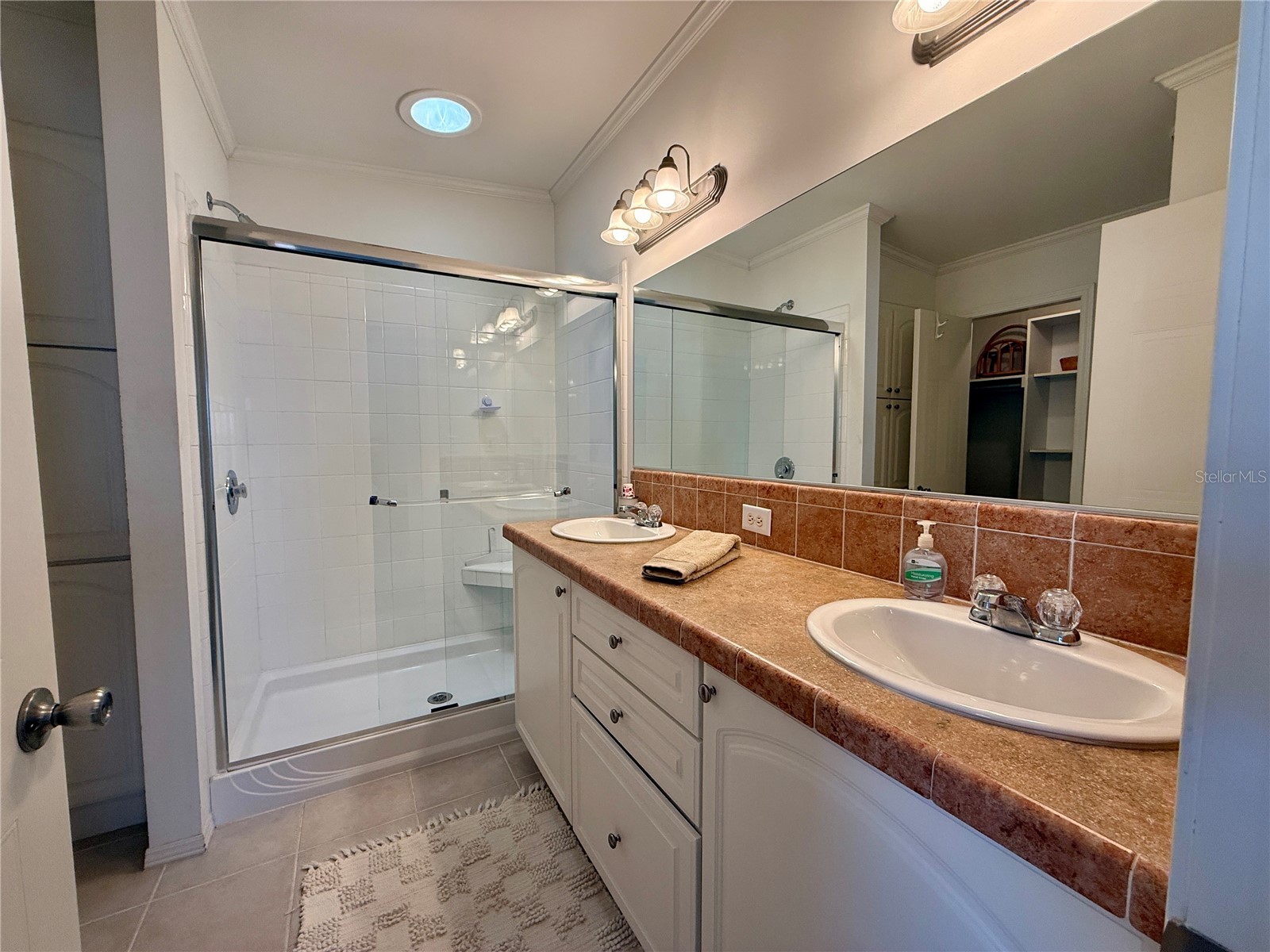 209 S Port Royal Lane Apollo Beach FL 33572 TB8485675 image14