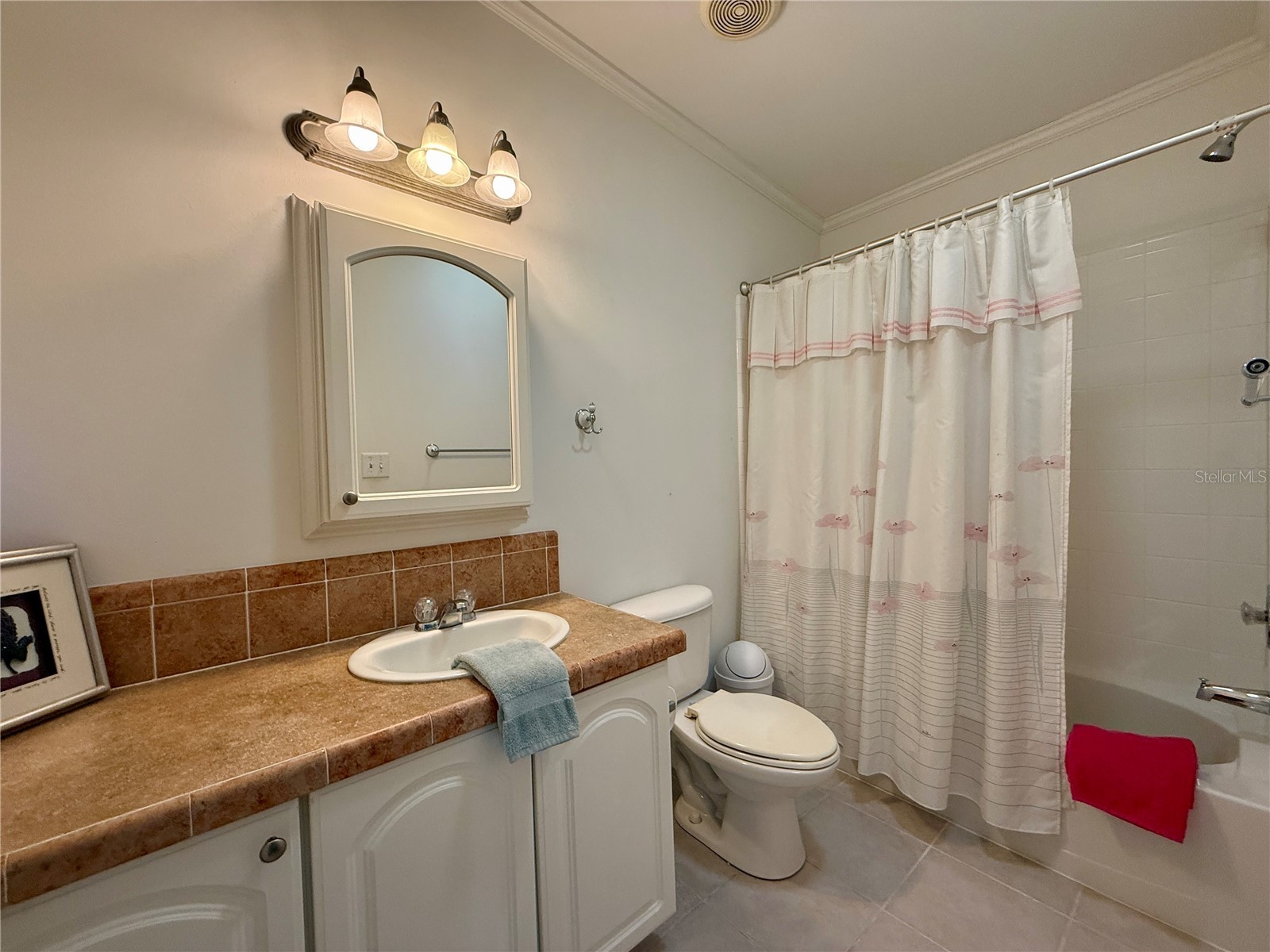 209 S Port Royal Lane Apollo Beach FL 33572 TB8485675 image21