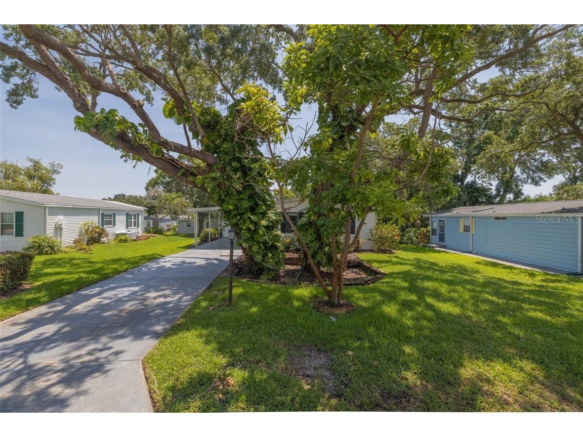 209 Schooner Avenue Edgewater FL 32141 NS1085003 image4
