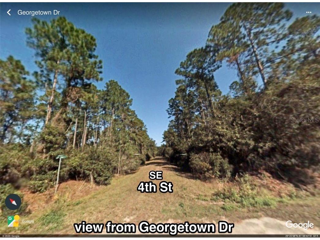 209 SE 4th Street Georgetown FL 32139 V4922954 image1