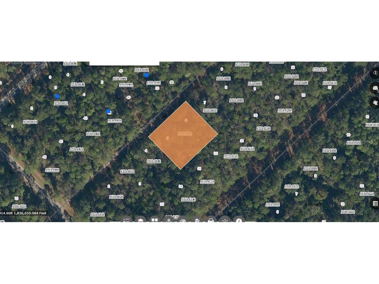 209 SE Paradise Lakes Georgetown FL 32139 O6231635 image1