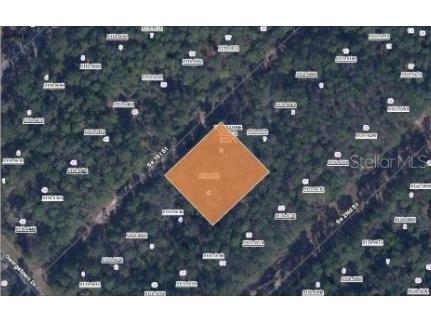 209 SE Paradise Lakes Georgetown FL 32139 O6231635 image2