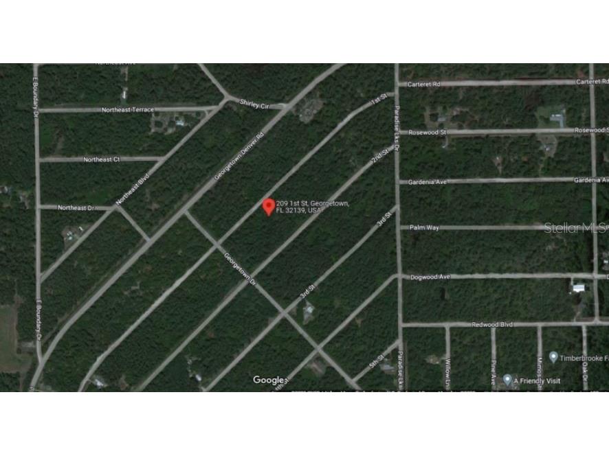 209 SE Paradise Lakes Georgetown FL 32139 O6231635 image5