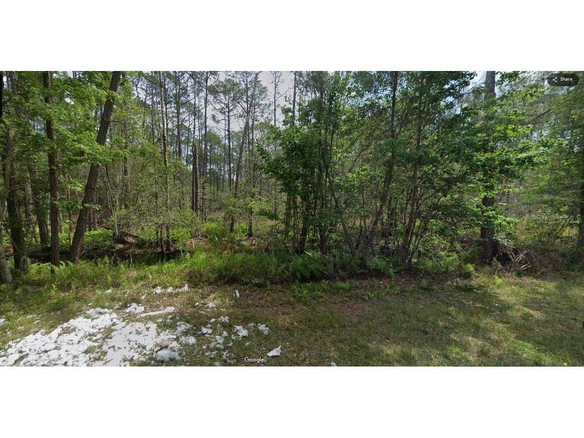 209 SE Paradise Lakes Georgetown FL 32139 O6231635 image6