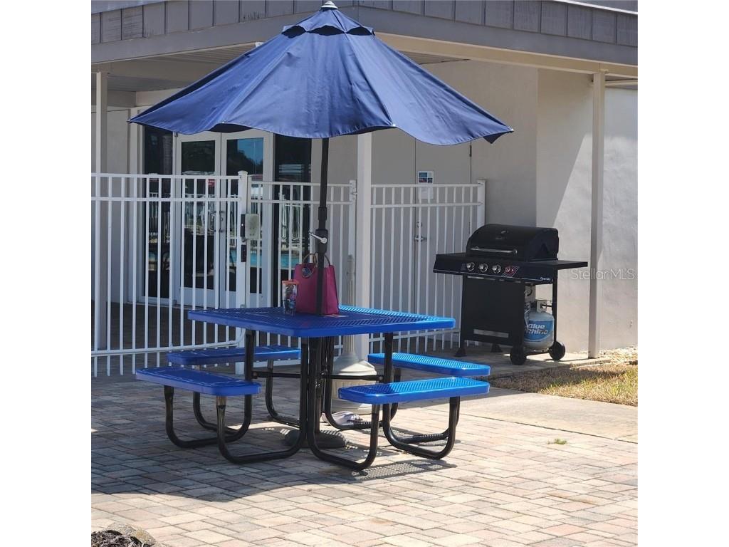 209 Seagull Drive Tarpon Springs FL 34689 TB8405470 image26