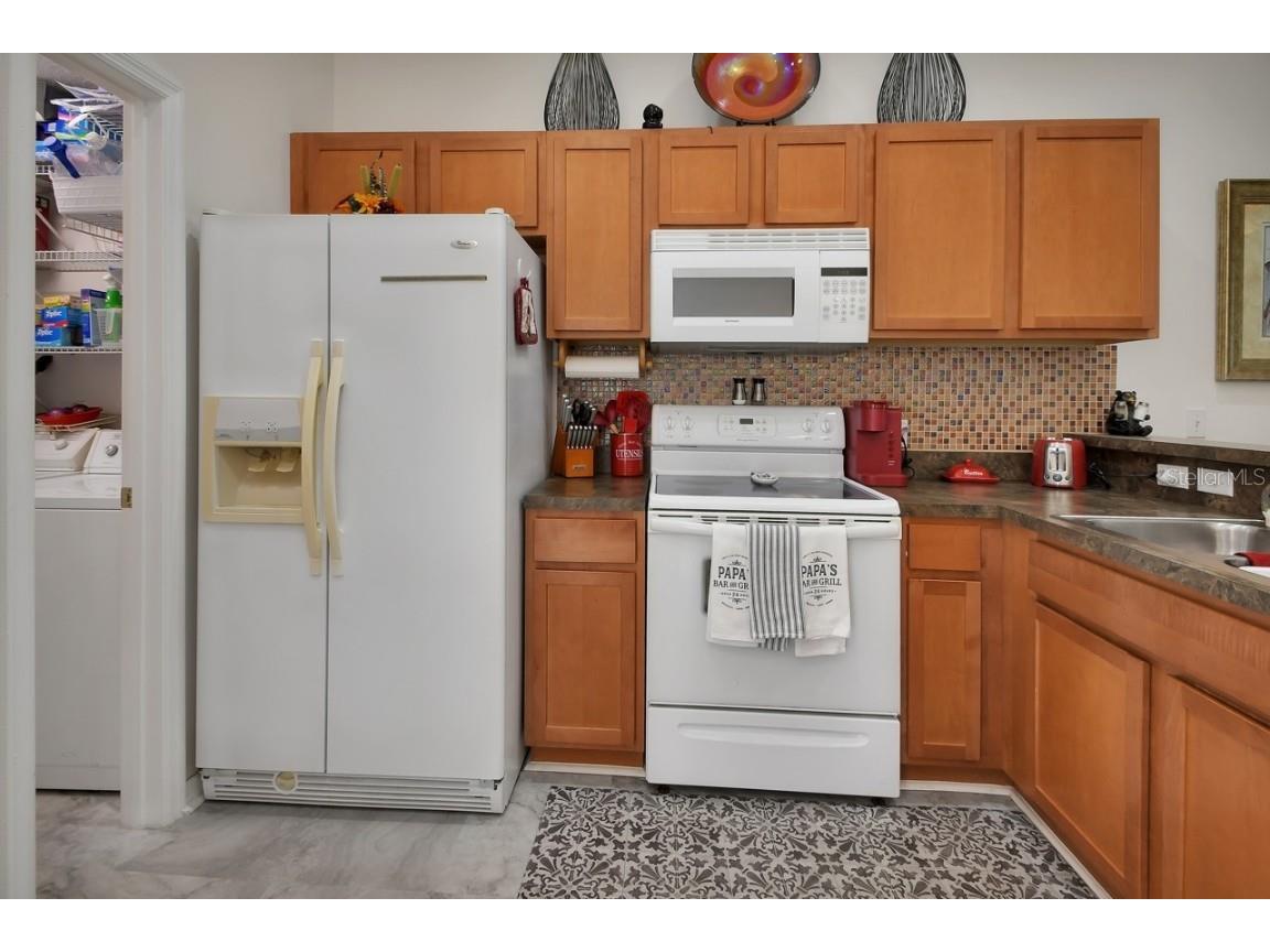 209 Shady Lane Drive #63 Deland FL 32724 V4945683 image9