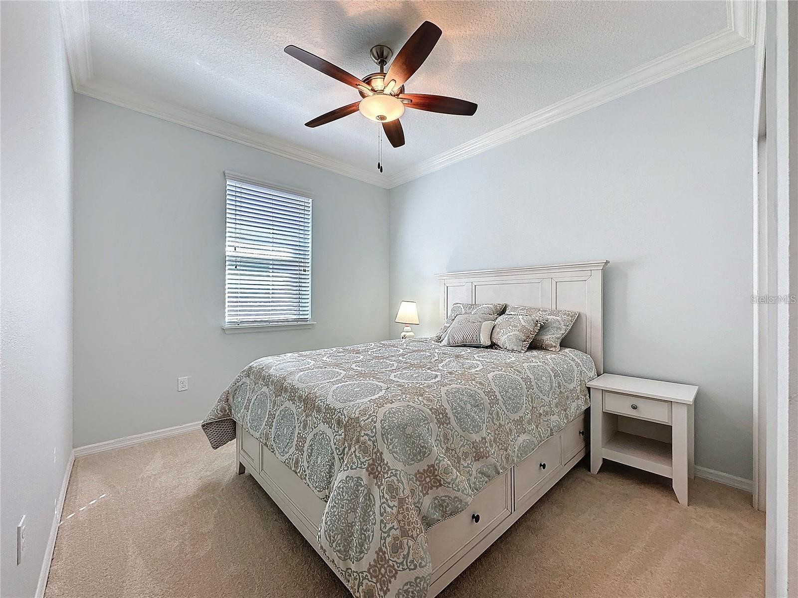 209 Silver Maple Road Groveland FL 34736 - SCHOOL HOUSE LAKE G5111889 image15