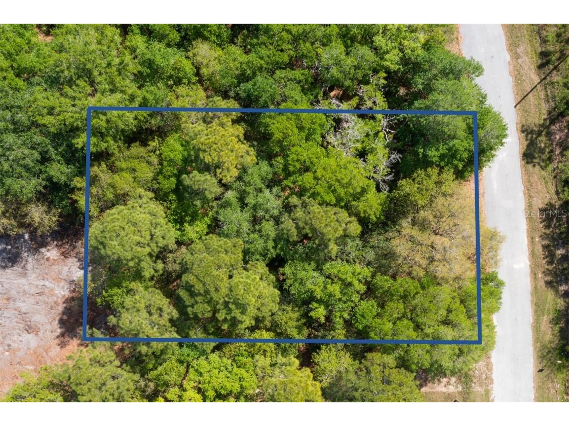 209 Spoonbill Lane Poinciana FL 34759 O6097092 image1