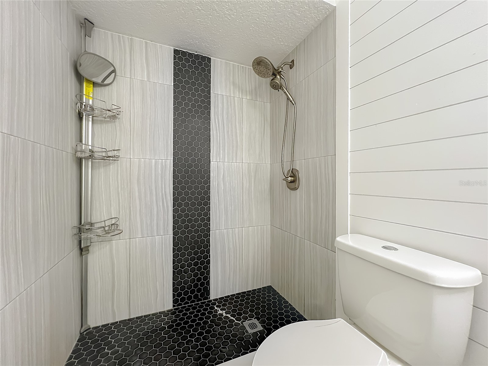 209 Sweet Gum Way Longwood FL 32779 - THE SPRINGS/ LITTLE WEKIVA O6377967 image40