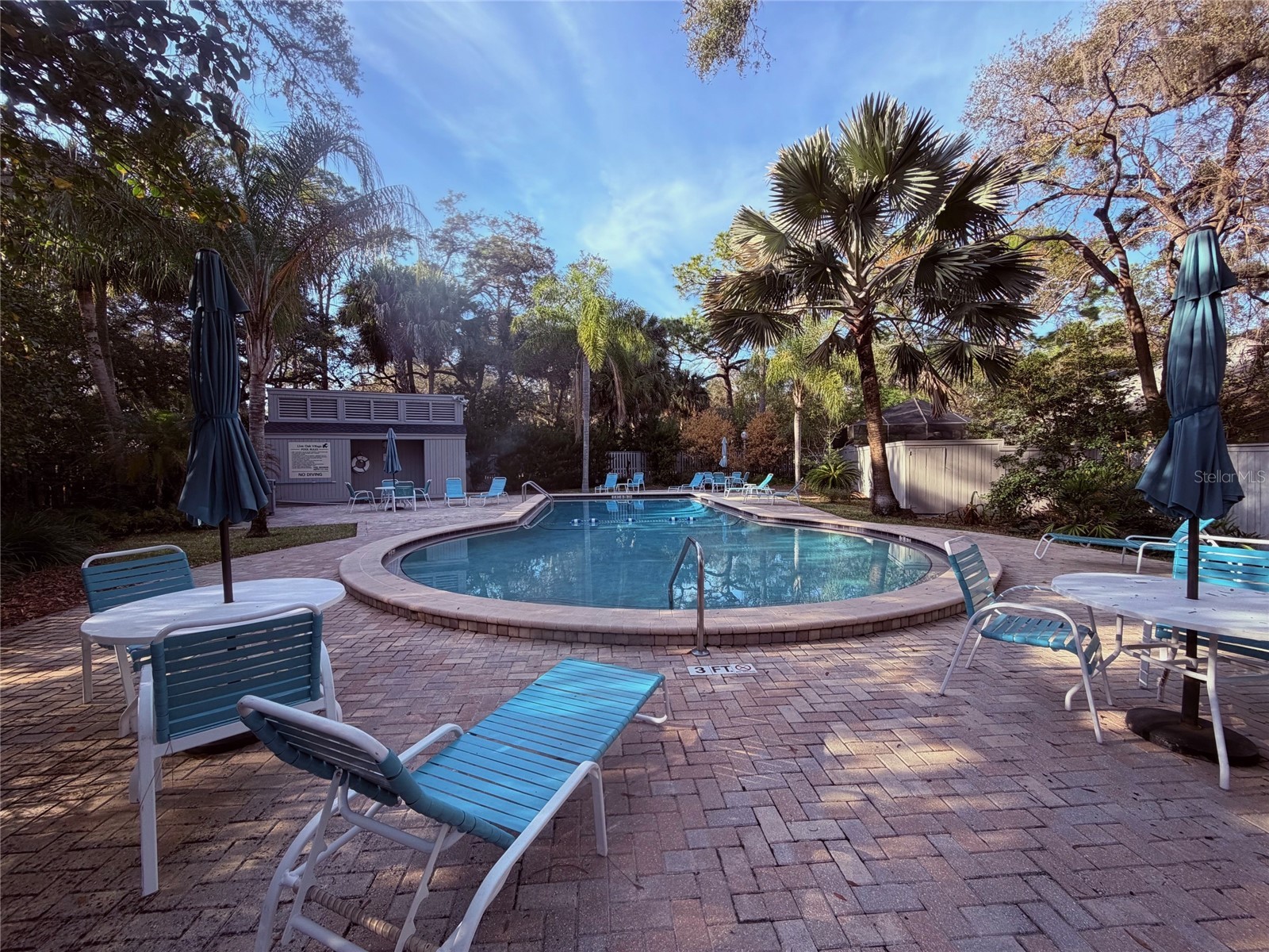 209 Sweet Gum Way Longwood FL 32779 - THE SPRINGS/ LITTLE WEKIVA O6377967 image64