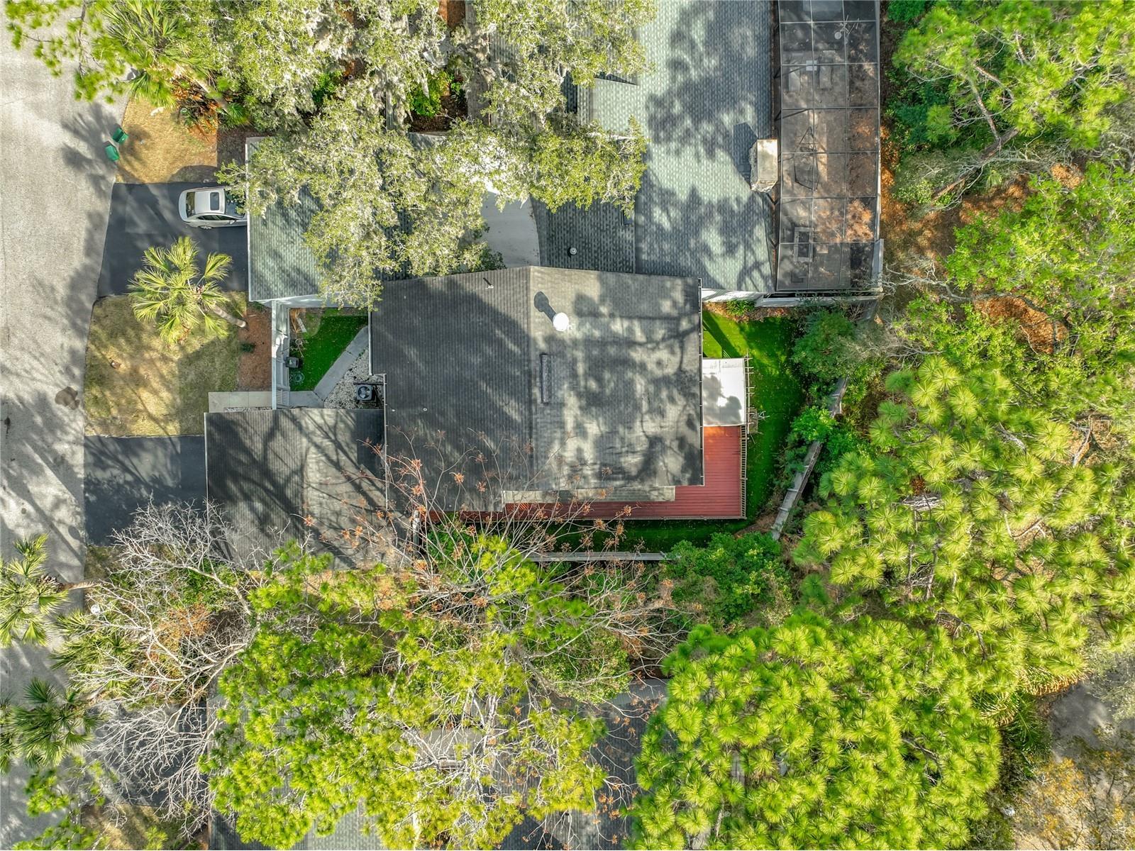 209 Sweet Gum Way Longwood FL 32779 - THE SPRINGS/ LITTLE WEKIVA O6377967 image66