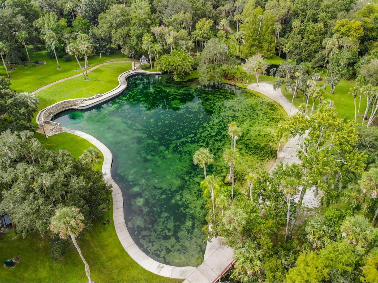 209 Sweet Gum Way Longwood FL 32779 - THE SPRINGS/ LITTLE WEKIVA O6377967 image68