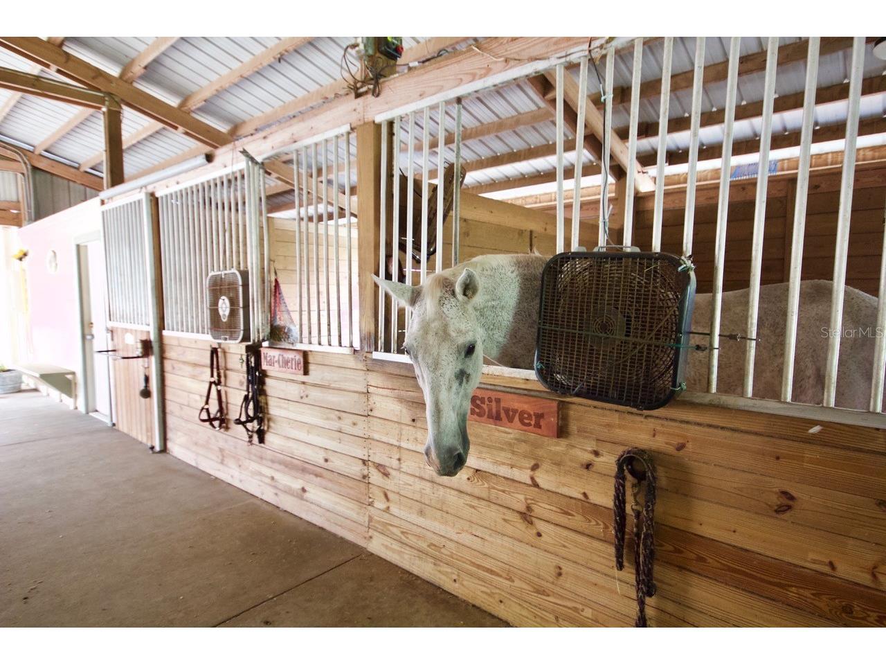 209 Sweet Gum Way Longwood FL 32779 - THE SPRINGS/ LITTLE WEKIVA O6377967 image81