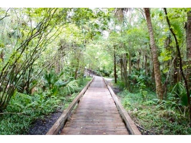 209 Sweet Gum Way Longwood FL 32779 - THE SPRINGS/ LITTLE WEKIVA O6377967 image86