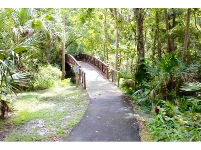 209 Sweet Gum Way Longwood FL 32779 - THE SPRINGS/ LITTLE WEKIVA O6377967 image91