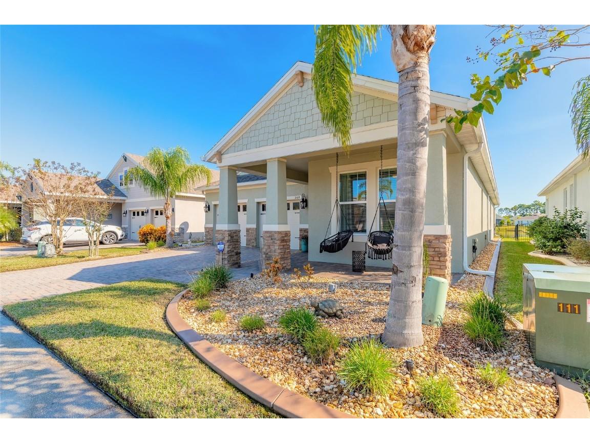 209 Venetian Palms Boulevard New Smyrna Beach FL 32168 NS1086632 image11