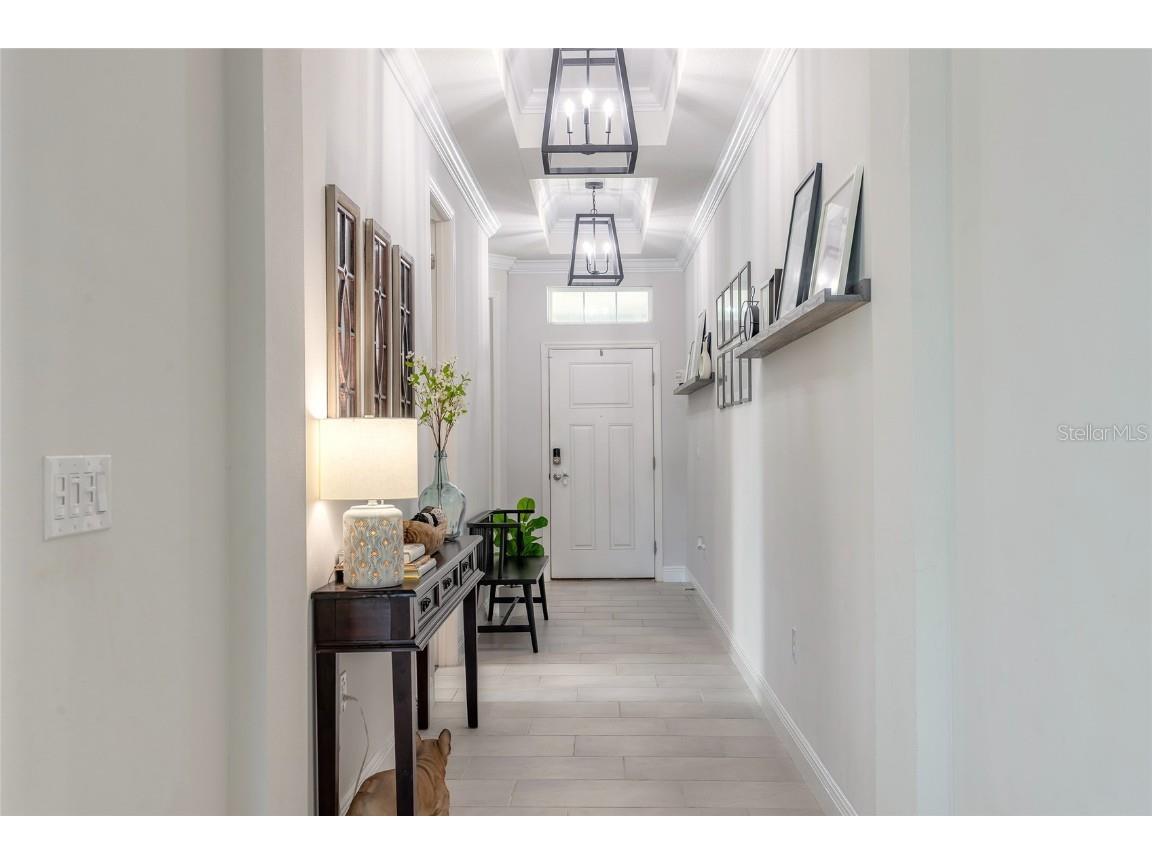 209 Venetian Palms Boulevard New Smyrna Beach FL 32168 NS1086632 image32