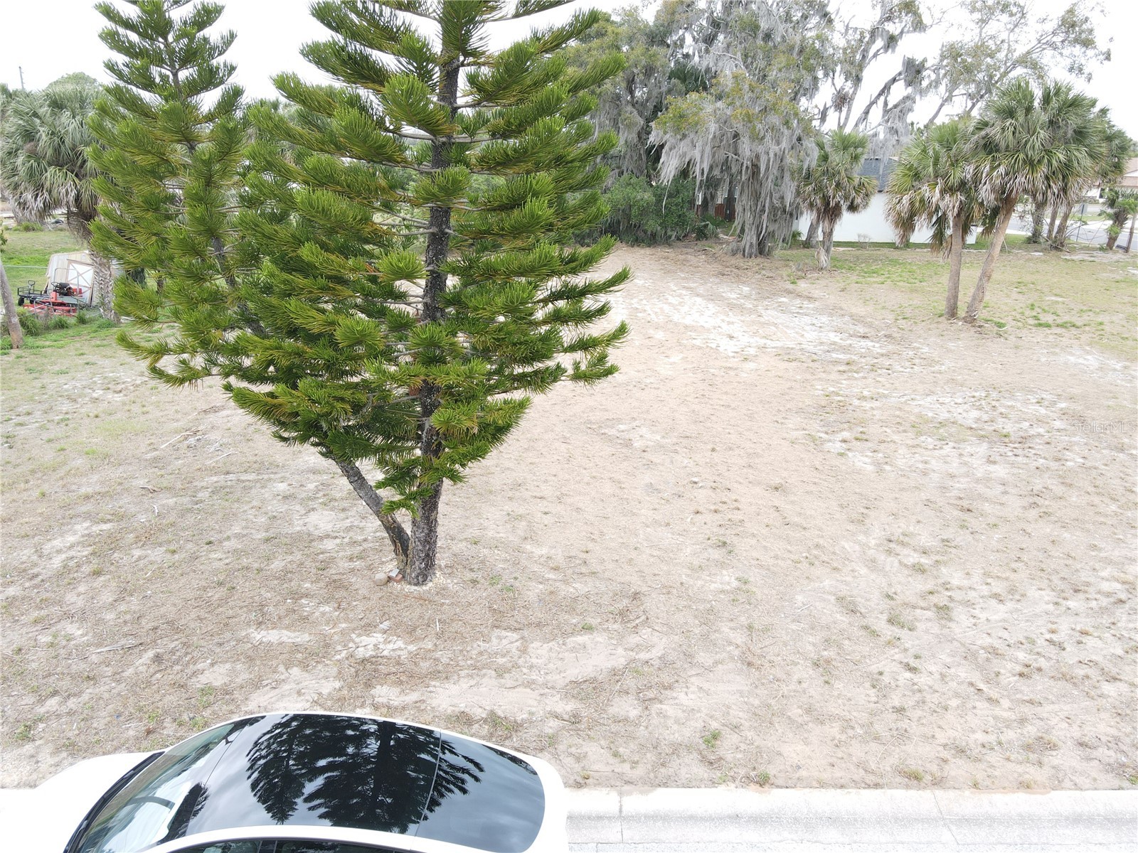 209 W Badger Avenue Eustis FL 32726 G5114249 image3