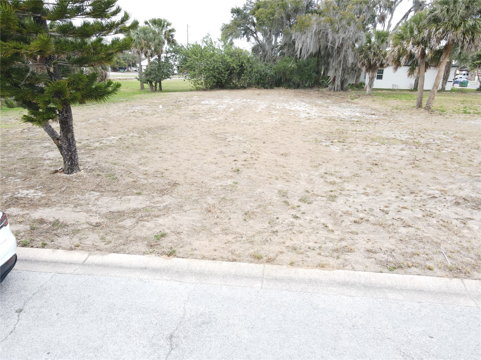 209 W Badger Avenue Eustis FL 32726 G5114249 image5