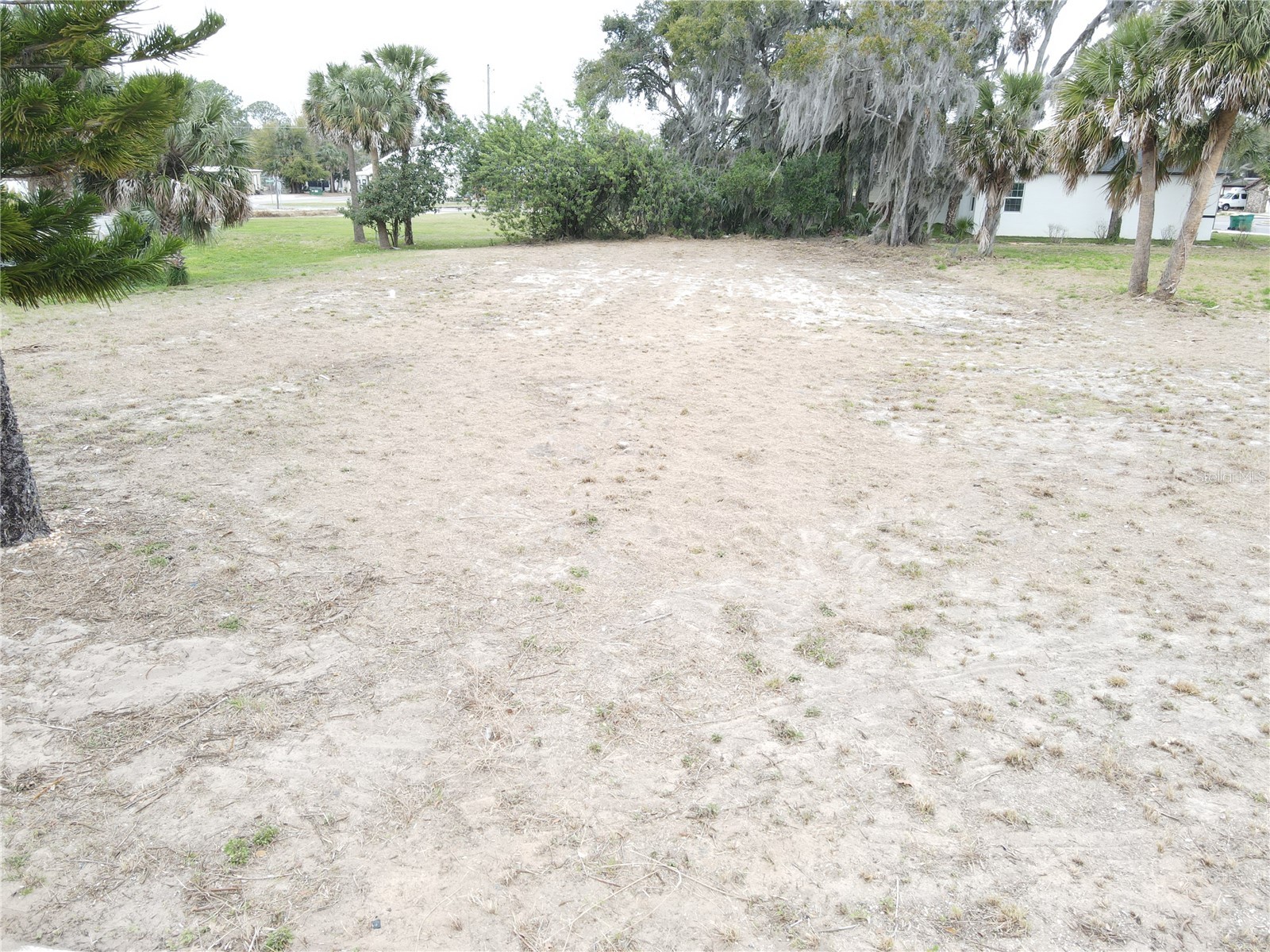 209 W Badger Avenue Eustis FL 32726 G5114249 image6