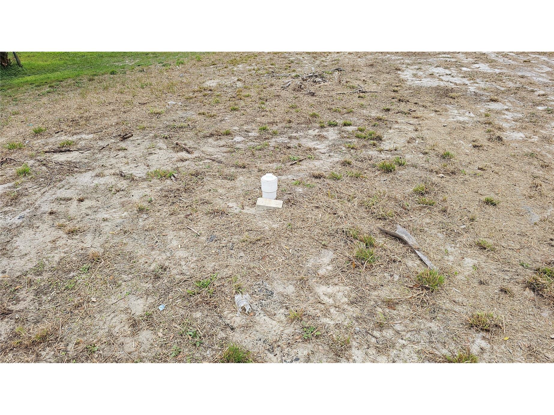 209 W Badger Avenue Eustis FL 32726 G5114249 image8