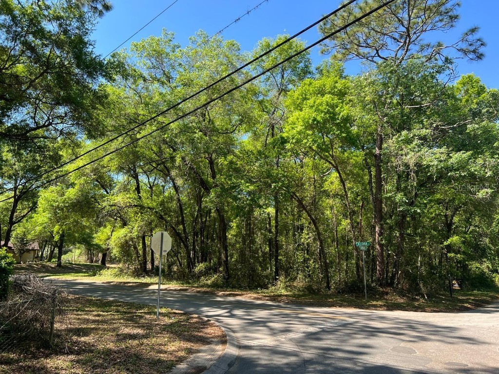 209 W Harvard Street Inverness FL 34452 O6009455 image1