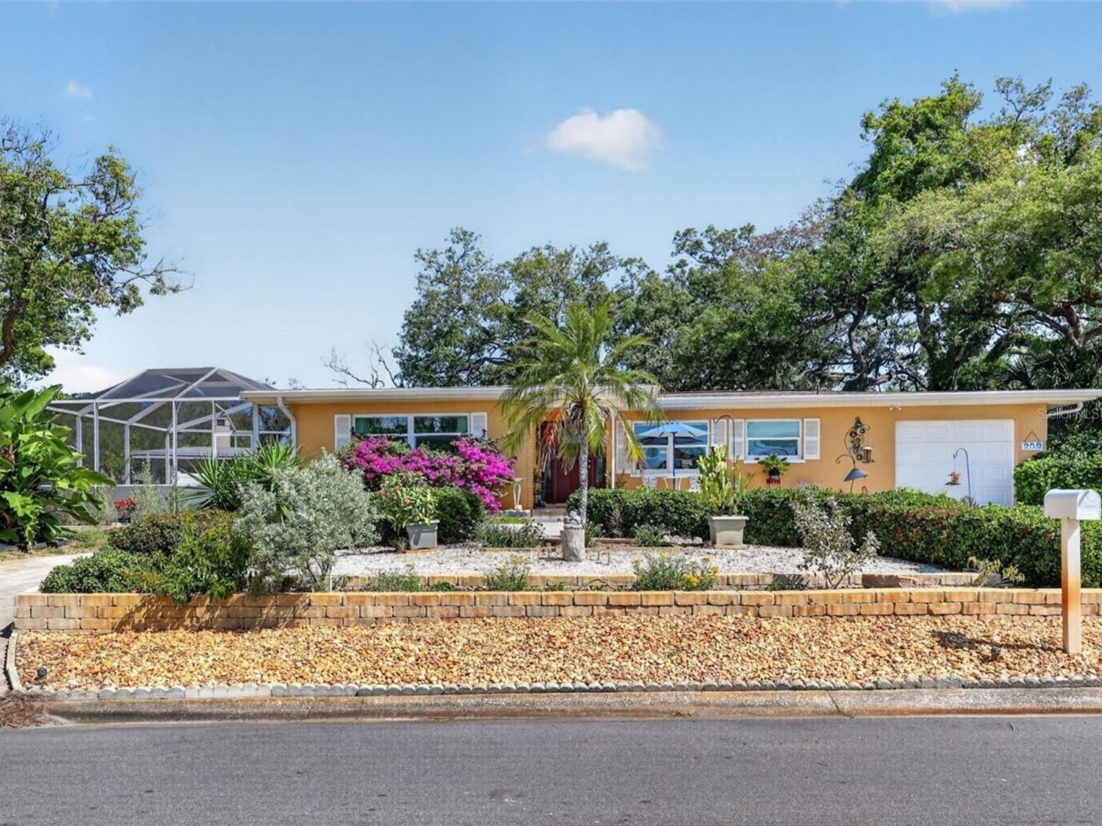 209 Westwinds Drive Palm Harbor FL 34683 TB8499622 image3